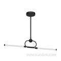 New Type Of LED Pendant Light Home Lighting